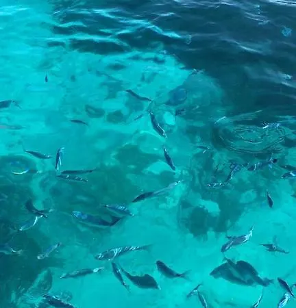 Aldiola Porto Rotondo